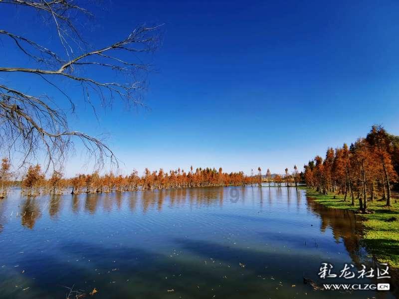 想做美白，美白面膜用哪种比较好呀游戏画面